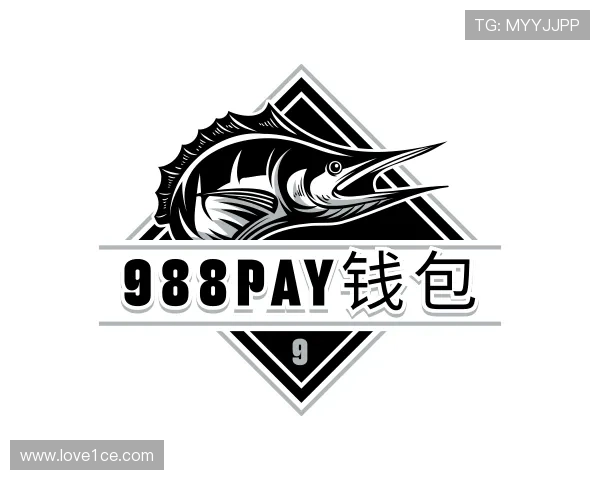 介绍988PAY钱包